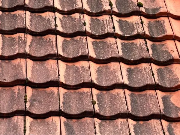 Dachfläche vor der Reinigung