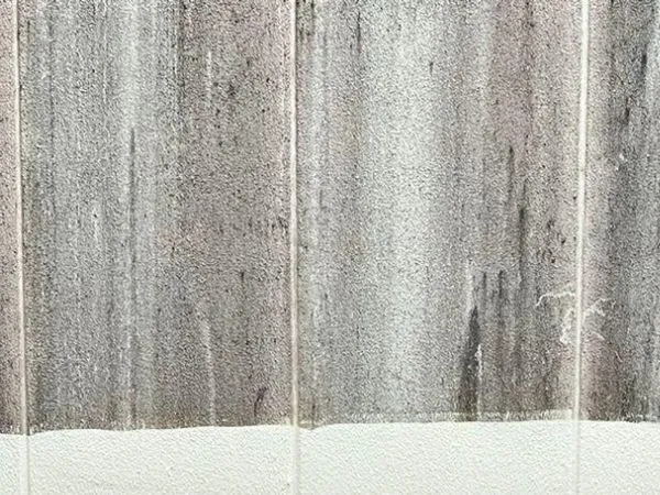 Fassade vor der Reinigung