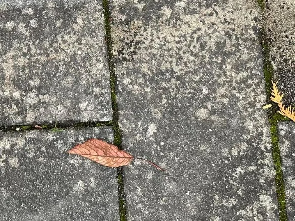 Steinfläche vor der Reinigung, zweites Beispiel