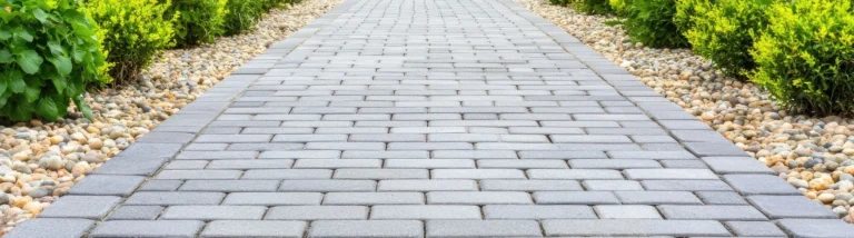 Effizient Algen reinigen lassen vom Meisterbetrieb